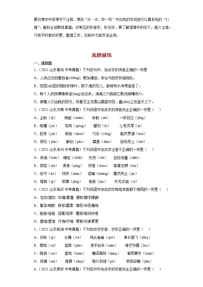 备战2022年中考二轮语文重难点复习指导（山东专用）专题01字音（解析版）第2页