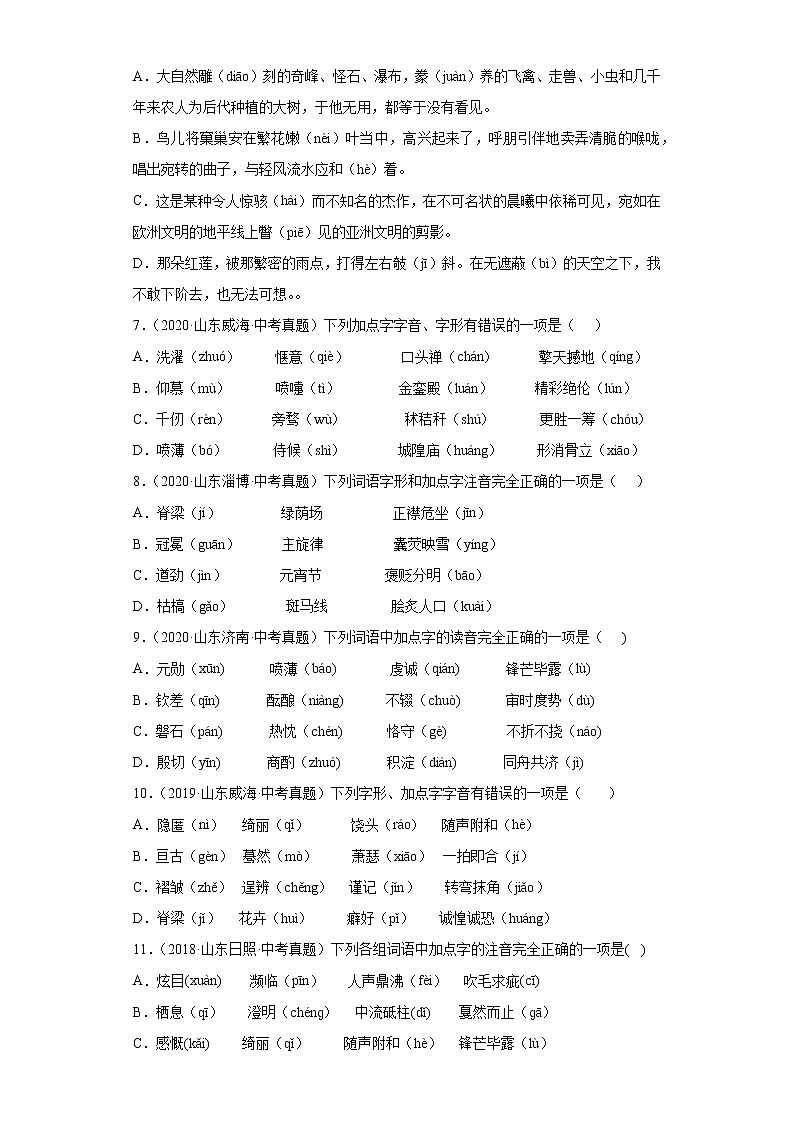 备战2022年中考二轮语文重难点复习指导（山东专用）专题01字音（解析版）第3页