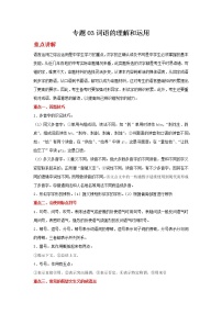 备战2022年中考二轮语文重难点复习指导（山东专用）专题03词语的理解和运用