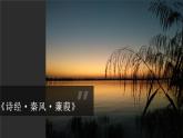 第12课《诗经二首——蒹葭》课件（共36张PPT）2021—2022学年部编版语文八年级下册
