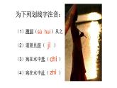 第12课《诗经二首——蒹葭》课件（共36张PPT）2021—2022学年部编版语文八年级下册