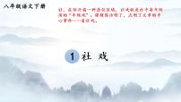人教部编版八年级下册1 社戏课文配套ppt课件