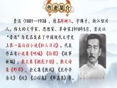 第1课《社戏》课件（共43张PPT）2021—2022学年部编版语文语文八年级下册