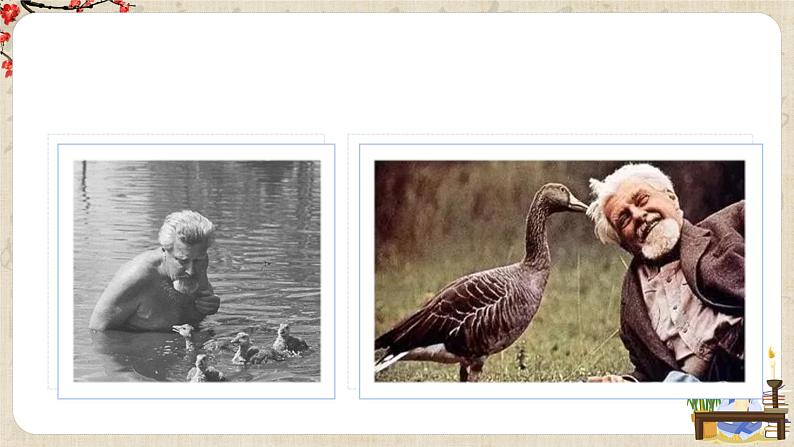 第17课《动物笑谈》课件+教学设计+同步练习03