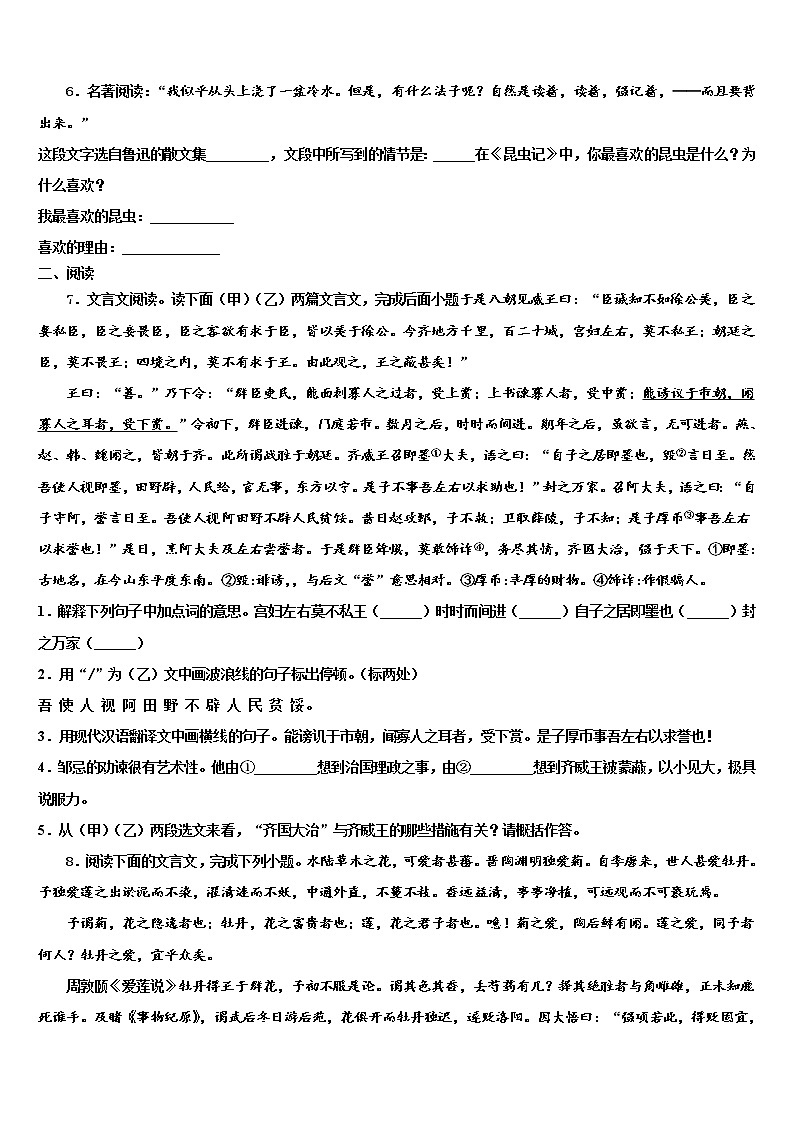 2022届咸宁市通城县中考猜题语文试卷含解析02