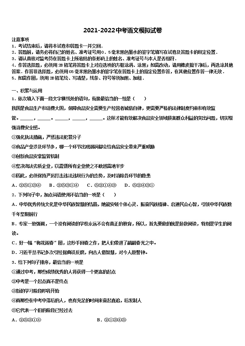 2022年安徽阜阳市中考语文模试卷含解析01