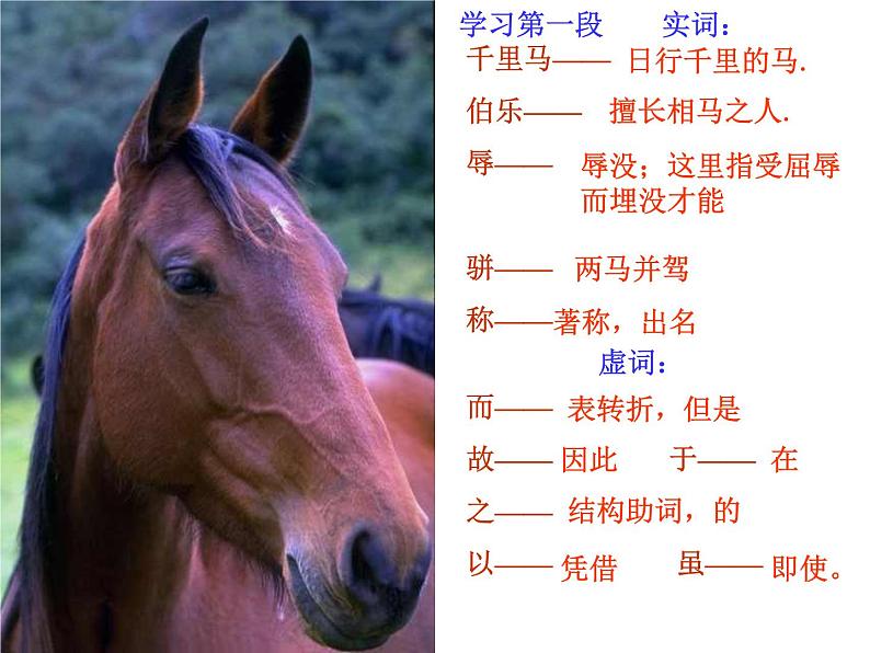 《马说》同步教学课件第8页