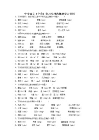 2022年中考语文复习专项：字音 (1)