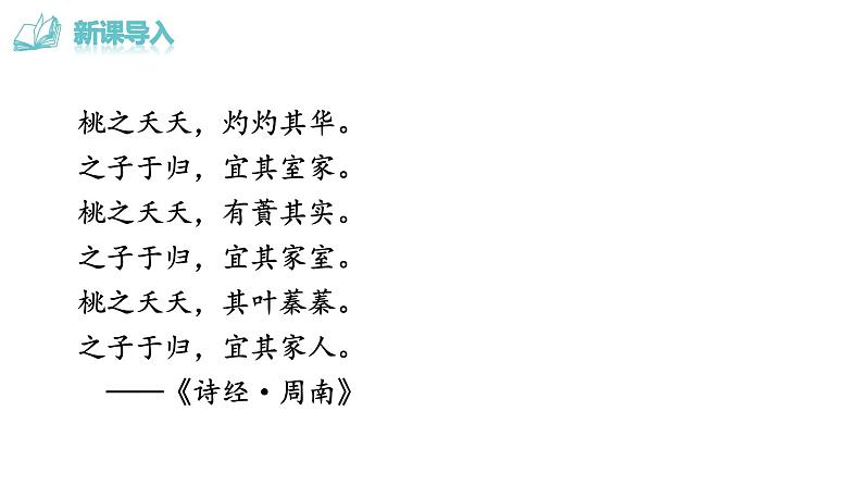 部编版七年级语文下册课件---19《 一棵小桃树》01
