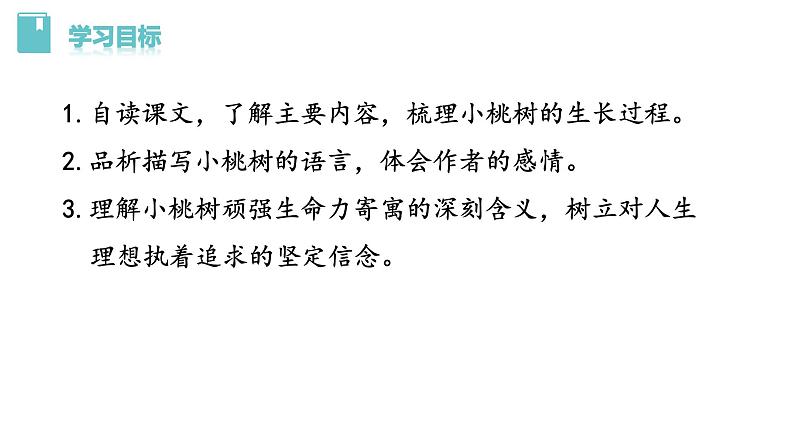 部编版七年级语文下册课件---19《 一棵小桃树》03