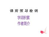 第24课《带上她的眼睛》-2021-2022学年部编版语文七年级下册课件PPT