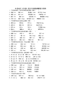 2022年中考语文复习专项：字音