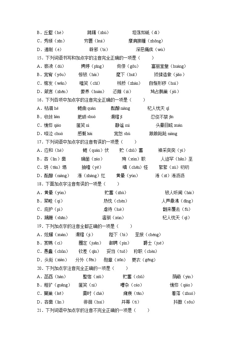 2022年中考语文复习专项：字音第3页