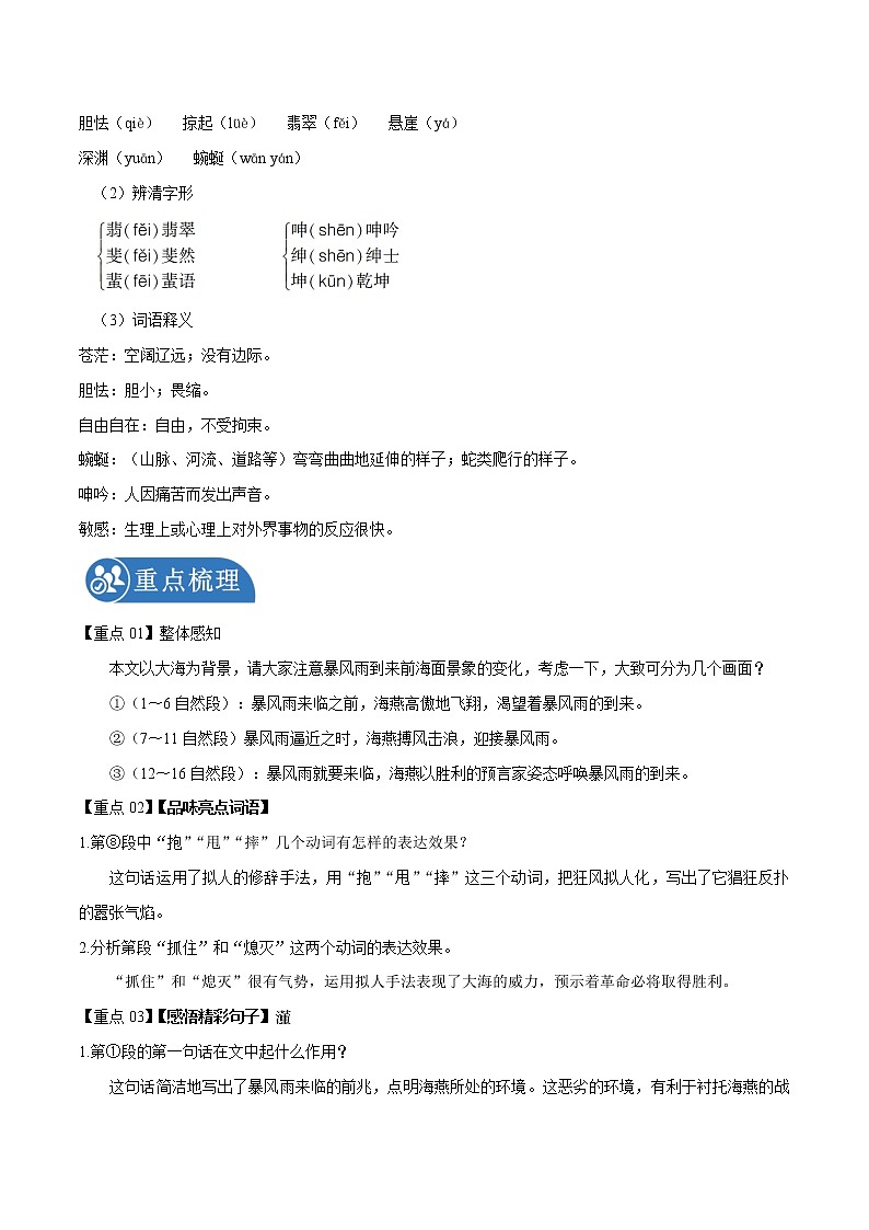 第4课 海燕 学案 初中语文人教部编版九年级下册（2022年）02