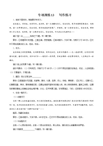 专项训练13：写作练习 期末专项复习作业 初中语文人教部编版七年级下册（2022年）