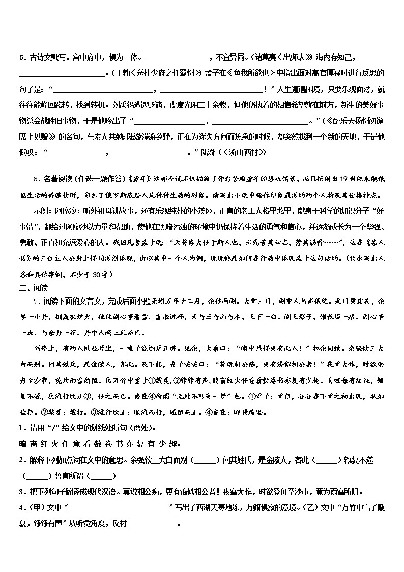2022届江苏省南京树人中学中考三模语文试题含解析02