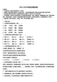 2022届江苏省泰州市泰兴市黄桥中学中考语文对点突破模拟试卷含解析