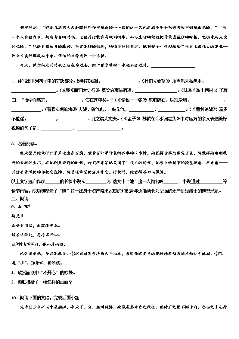 2022届江苏省泰州市泰兴市黄桥中学中考语文对点突破模拟试卷含解析第3页