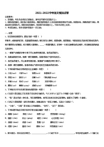 2022届山东省寿光市实验中学中考适应性考试语文试题含解析