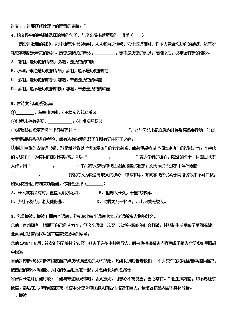 2022届山东省寿光市纪台镇第二初级中学中考四模语文试题含解析第2页