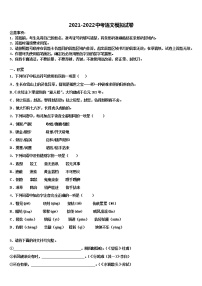 2022届安徽省六安市名校中考语文考前最后一卷含解析
