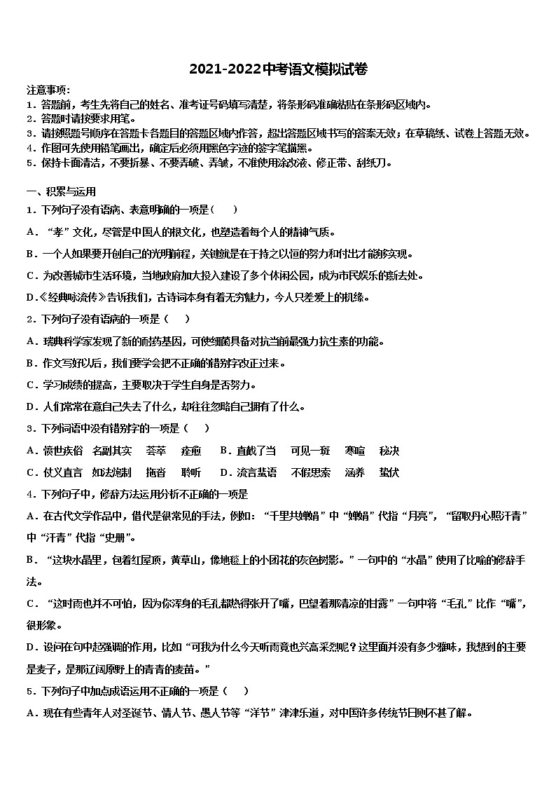 2022届广东省东莞市石碣丽江校十校联考最后语文试题含解析01