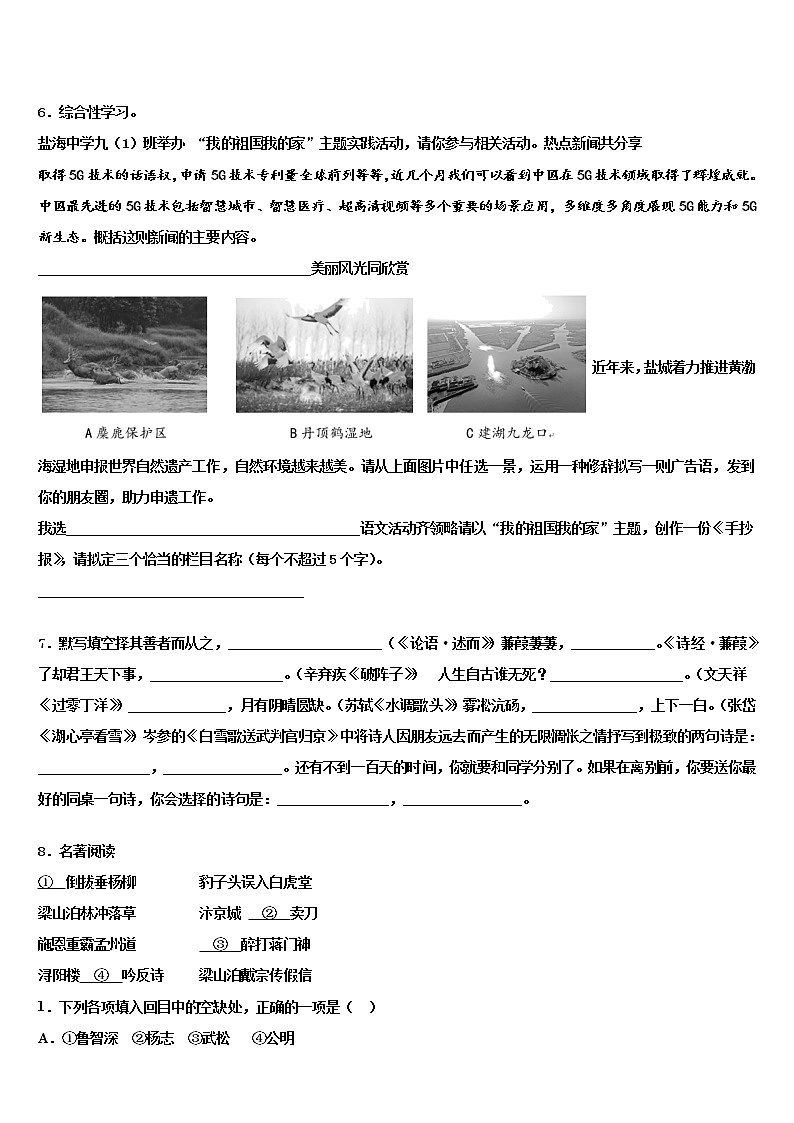 2022届福建省宁德市福鼎市重点达标名校中考语文仿真试卷含解析02