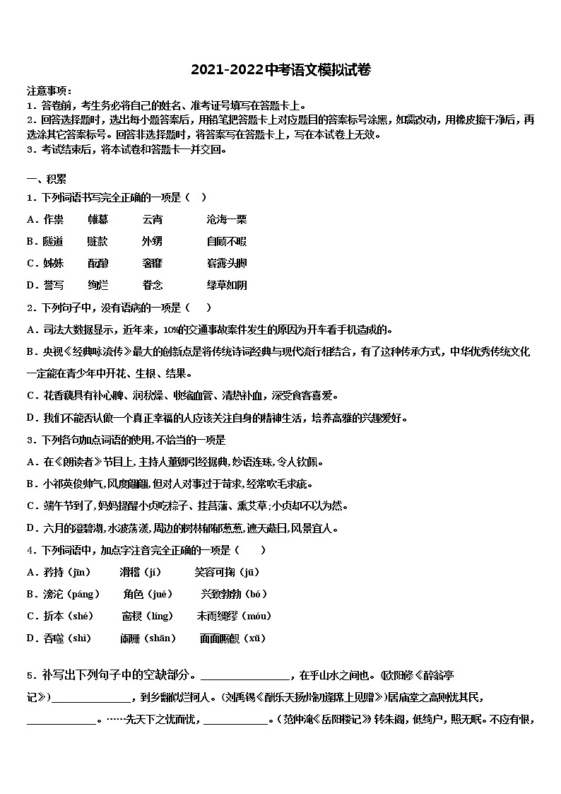 2022届福建省寿宁县市级名校中考语文模拟试题含解析01