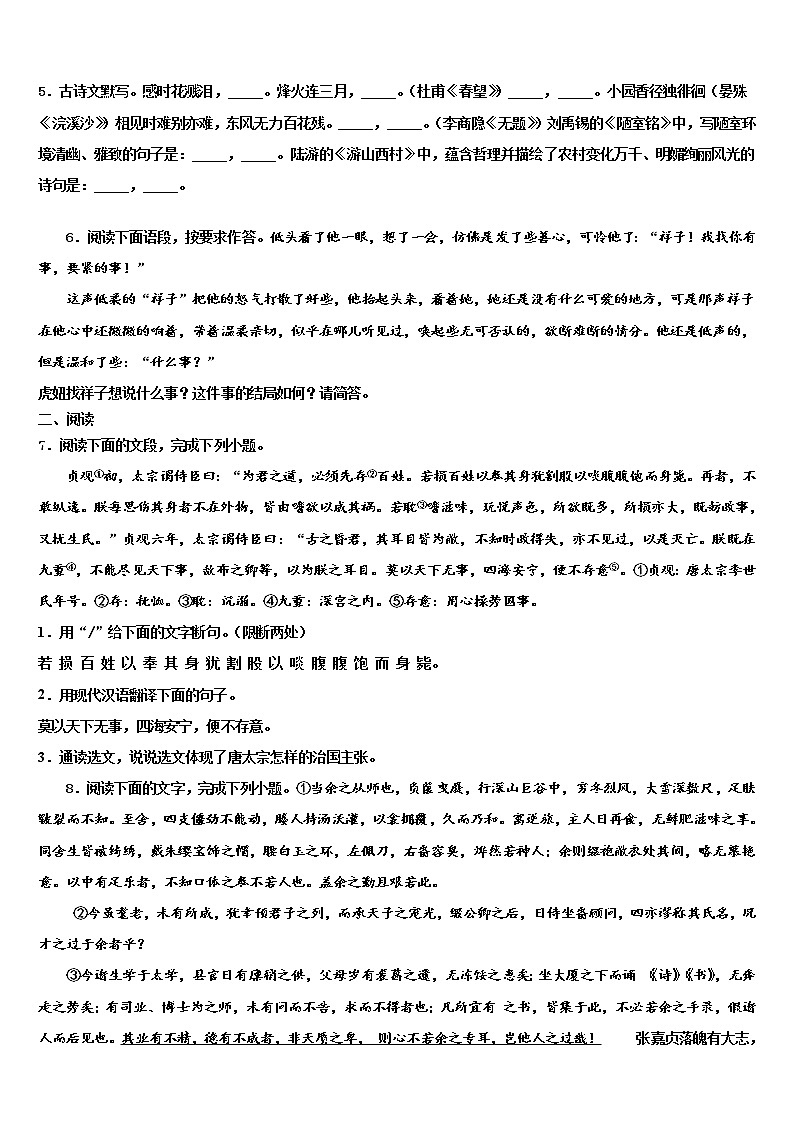 2022届福建省龙岩市金丰片区十校联考最后语文试题含解析02