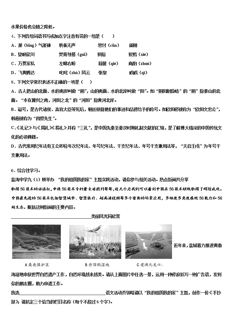 2021-2022学年中山市重点中学中考语文模拟预测题含解析02