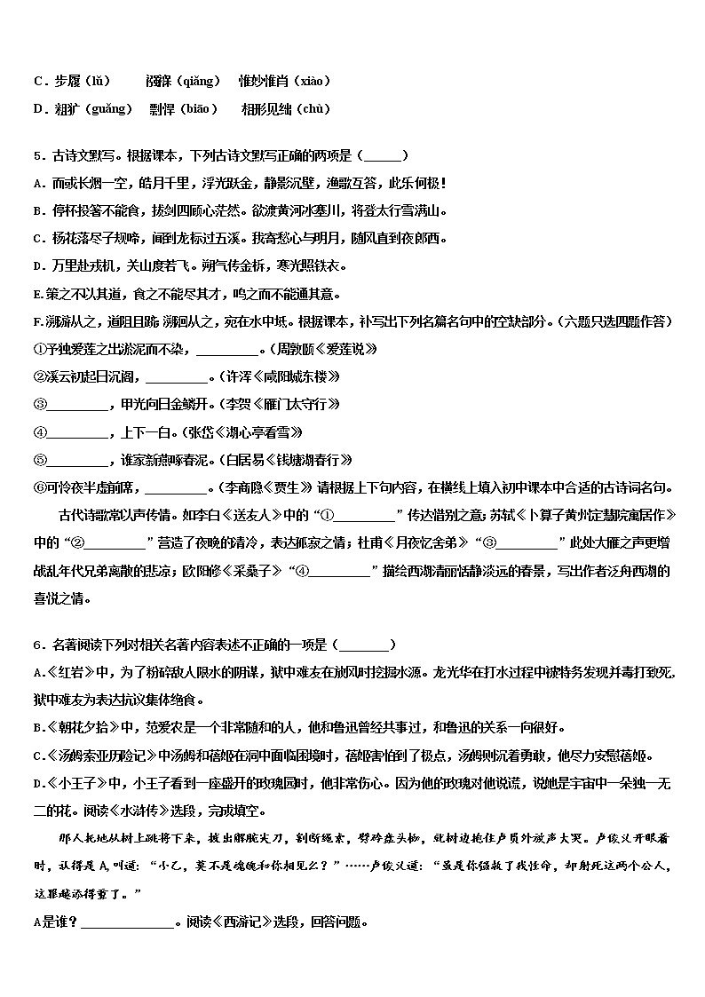 2022届江苏省江阴要塞中学中考语文对点突破模拟试卷含解析02
