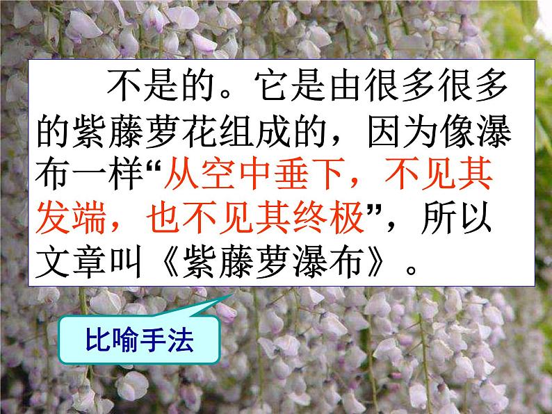 2022年人教部编版七年级语文下册第18课紫藤萝瀑布课件 (3)04