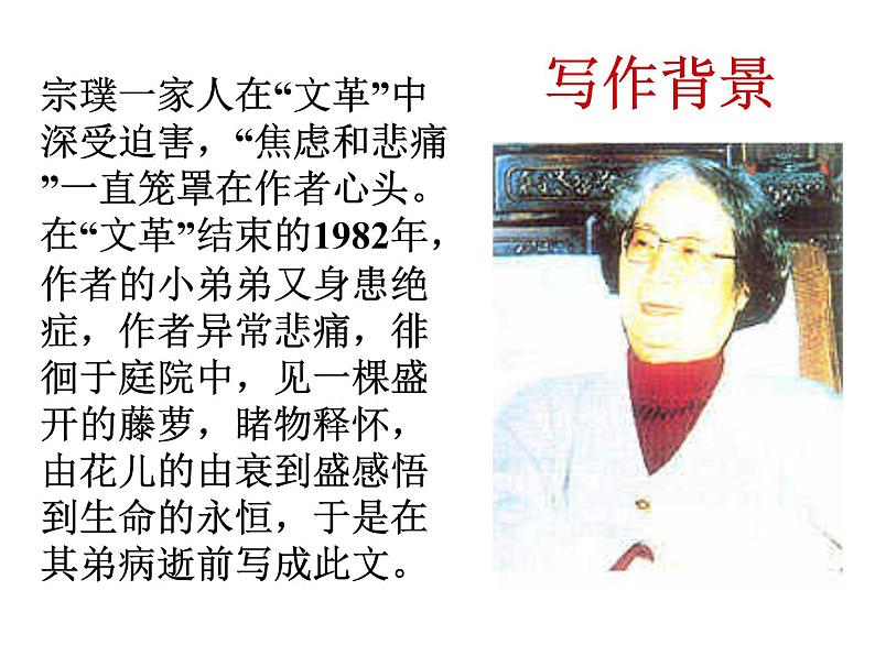 2022年人教部编版七年级语文下册第18课紫藤萝瀑布课件 (3)06