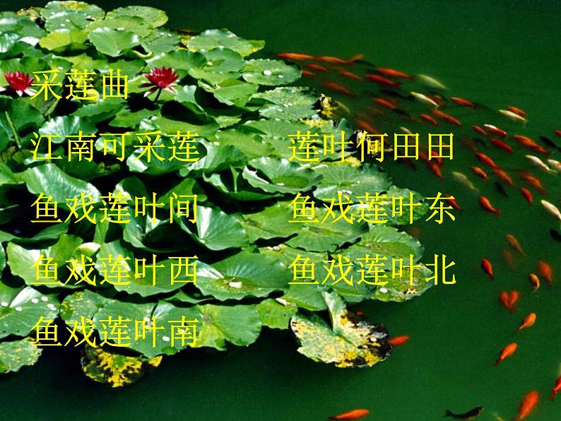 2022年人教部编版七年级语文下册第17课短文两篇之爱莲说课件 (2)第3页