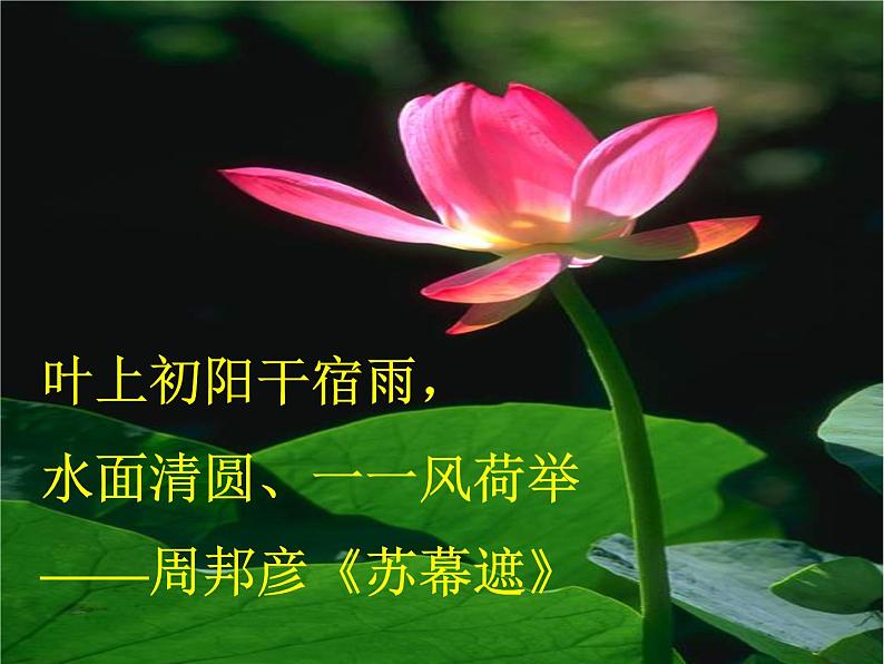 2022年人教部编版七年级语文下册第17课短文两篇之爱莲说课件 (2)第5页