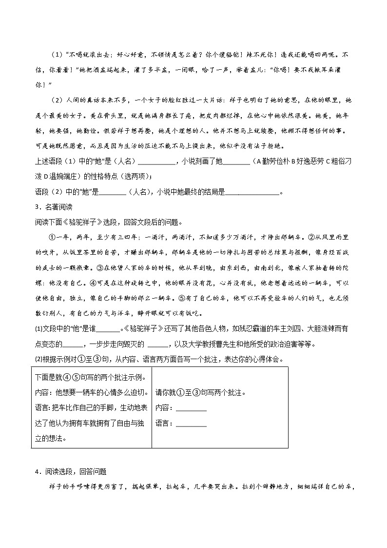 专题03：名著阅读-2021-2022学年七年级语文下册期中专项复习（部编版）第2页