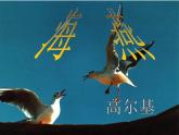 4《海燕》课件（44张PPT）2020-2021学年部编版语文九年级下册