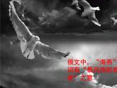 4《海燕》课件（44张PPT）2020-2021学年部编版语文九年级下册