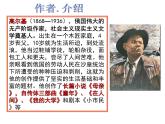4《海燕》课件（44张PPT）2020-2021学年部编版语文九年级下册