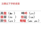 4《海燕》课件（44张PPT）2020-2021学年部编版语文九年级下册