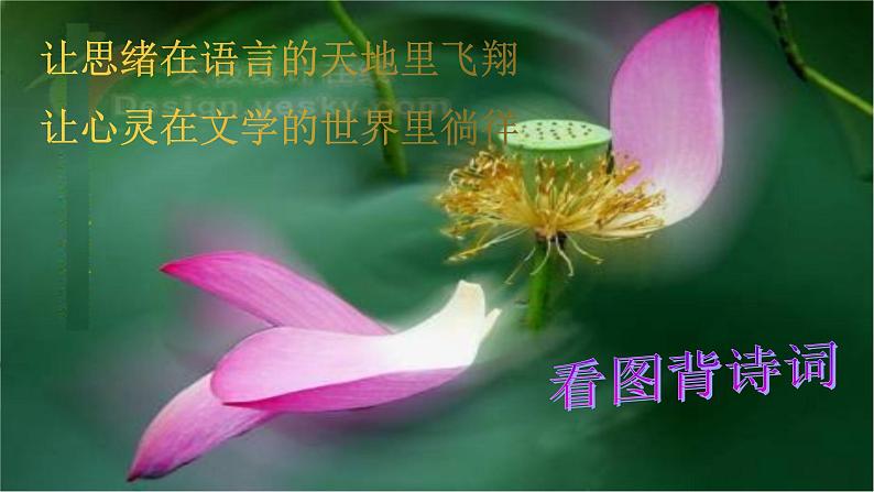 部编版语文七年级下册17《爱莲说》PPT课件第1页