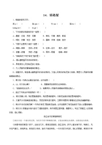初中语文人教部编版 (五四制)七年级下册（2018）14 驿路梨花/彭荆风综合训练题