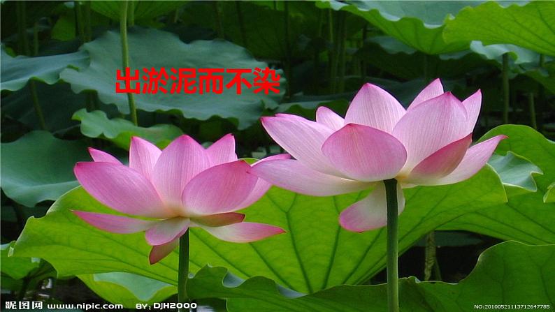 初中语文人教版（部编）七年级下册陋室铭4 课件第3页