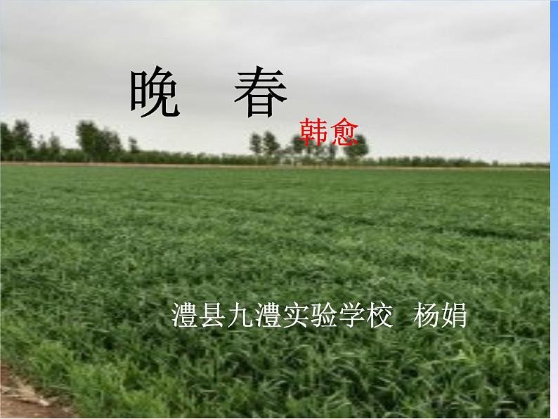 初中语文人教版（部编）七年级下册晚春 课件第1页