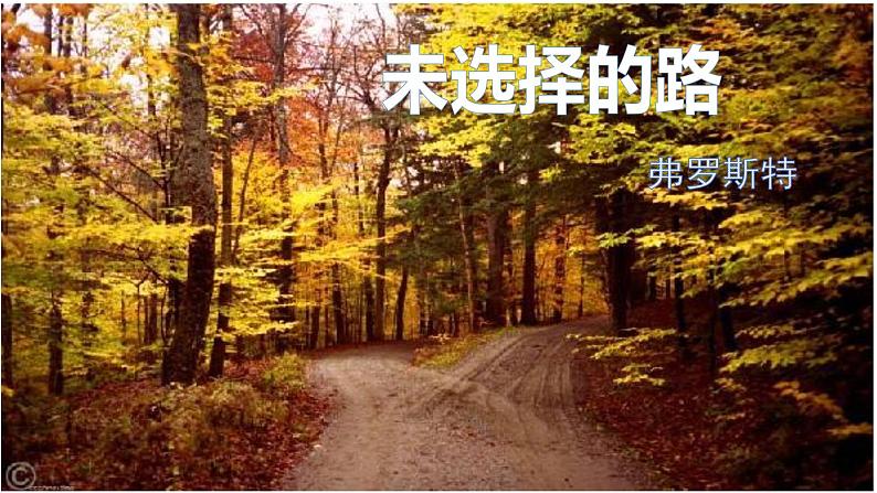 初中语文人教版（部编）七年级下册未选择的路 课件03