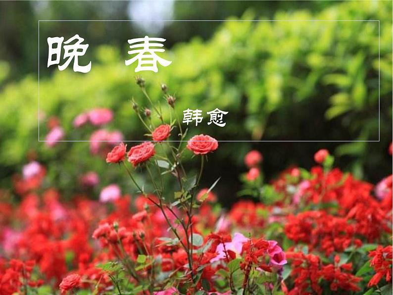 初中语文人教版（部编）七年级下册晚春2 课件第3页