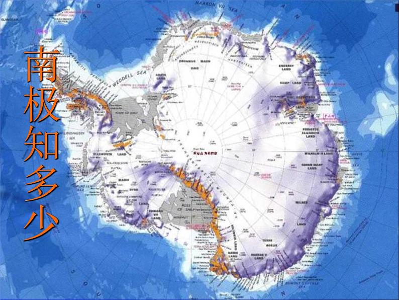 初中语文人教版（部编）七年级下册21伟大的悲剧1 课件第3页