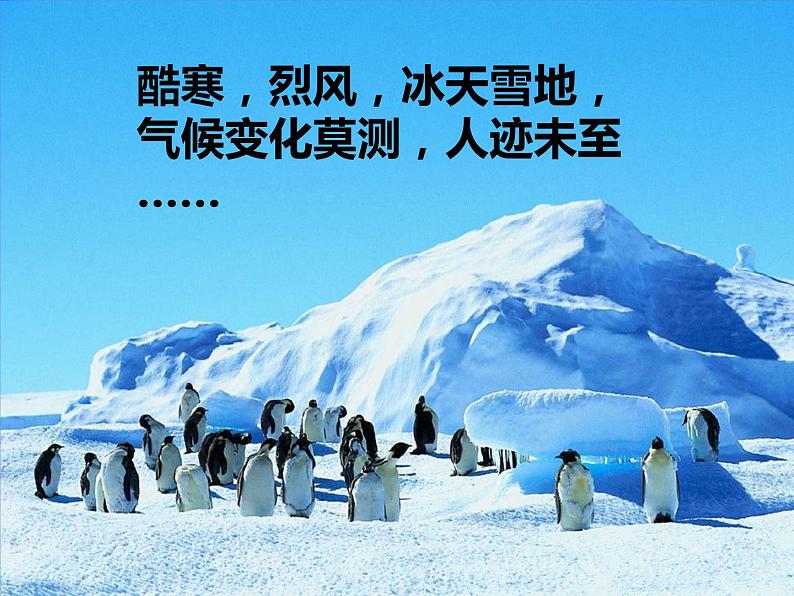 初中语文人教版（部编）七年级下册21伟大的悲剧1 课件第4页