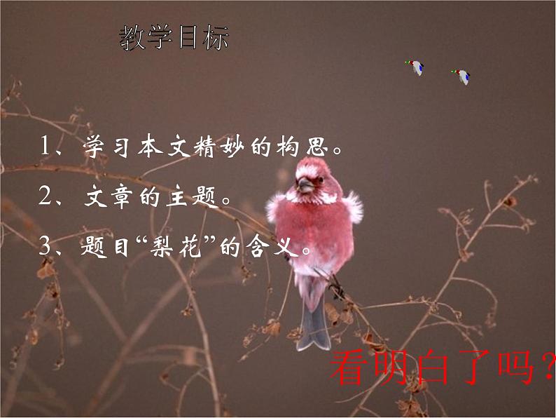 初中语文人教版（部编）七年级下册14驿路梨花 课件第3页