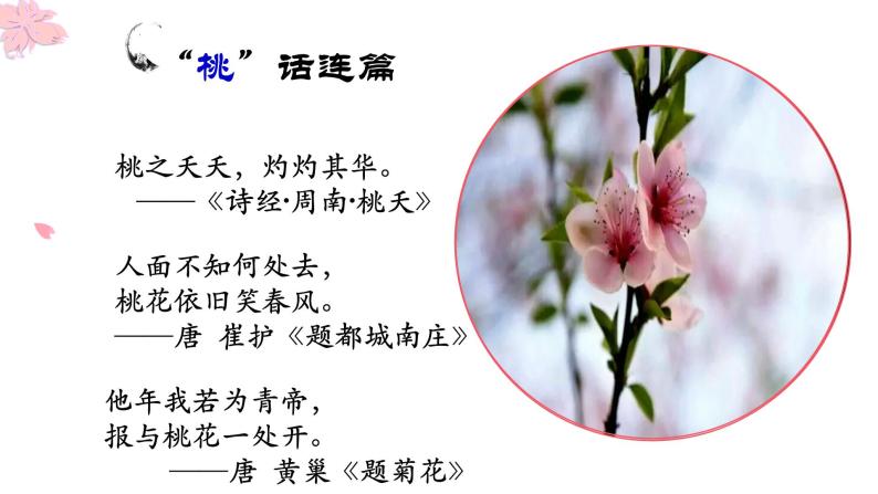 初中语文人教版（部编）七年级下册18一棵小桃树 课件01